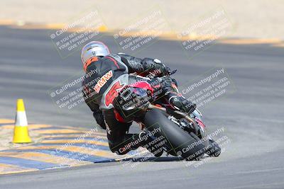 media/Mar-10-2024-SoCal Trackdays (Sun) [[6228d7c590]]/9-Turn 8 Backside (1150am)/